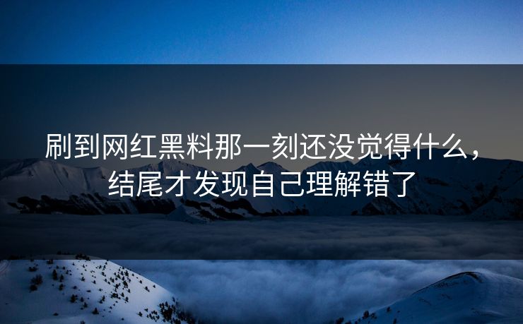 刷到网红黑料那一刻还没觉得什么,结尾才发现自己理解错了