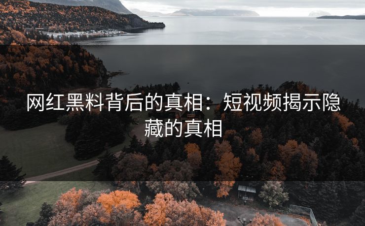 网红黑料背后的真相：短视频揭示隐藏的真相
