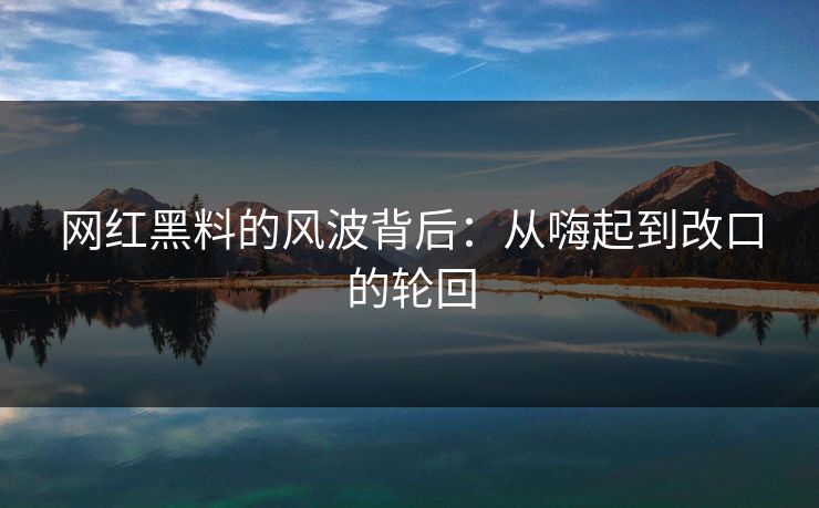 网红黑料的风波背后：从嗨起到改口的轮回