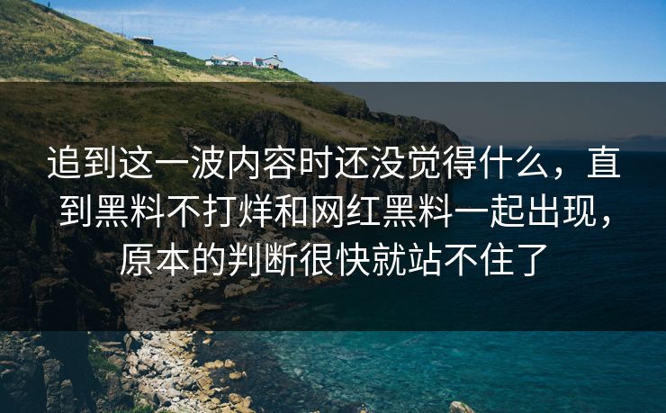 追到这一波内容时还没觉得什么，直到黑料不打烊和网红黑料一起出现，原本的判断很快就站不住了