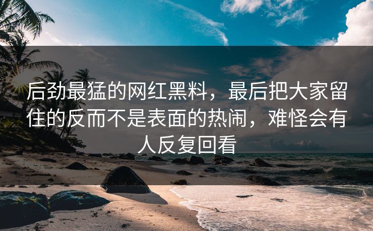 后劲最猛的网红黑料，最后把大家留住的反而不是表面的热闹，难怪会有人反复回看